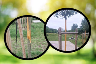 Wandale nie mają litości... dla drzew. Koszt posadzenia nowych wcale nie jest mały!