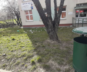 jednorazowe rękawiczki na trawnikach
