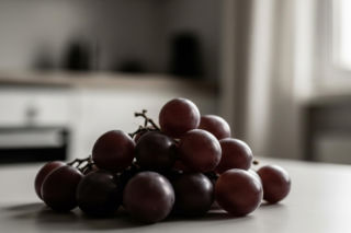 Krzysztof Jackowski ostrzega właścicieli psów. Tajemnicza śmierć. Co zabiło ukochanego pupila?