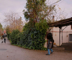 Miłość i nadzieja, odcinek 352. Melis, Gokhan, Zeynep