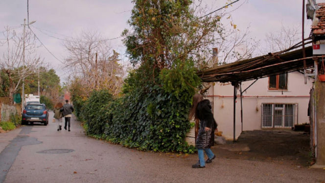 Miłość i nadzieja, odcinek 352. Melis, Gokhan, Zeynep