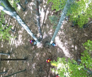 Paralotniarz utknął na drzewie - uratowali go ratownucy z Podhalańskiej grupy GOPR