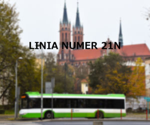 Linia nr 21N
