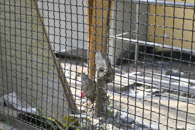 Niekończący się remont sąsiadów Kaczyńskiego