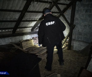 WIELKA AKCJA CBŚP. Gangsterzy zatrzymani za posiadanie i handel bronią