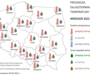 Pogoda na lato 2022: Szykuje się UPALNY lipiec! Znamy prognozy na wakacje! 