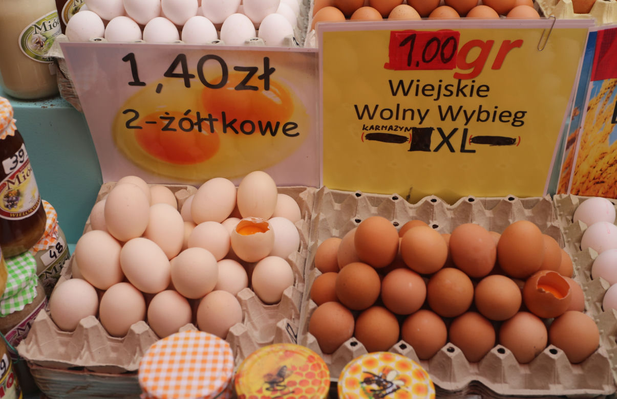 Księżycowe jaja 5 zł za sztukę. „Te kury słuchają muzyki klasycznej”