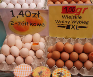 Księżycowe jaja 5 zł za sztukę. „Te kury słuchają muzyki klasycznej”