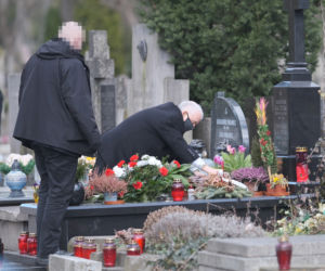 Prezes z palmą, Wałęsa bez