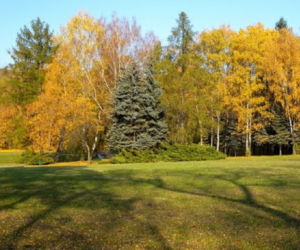 Park na Zdrowiu