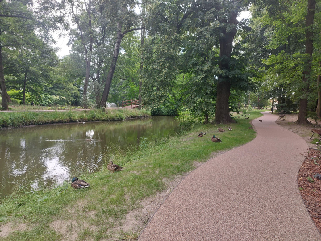 Park im. Szafera w Rzeszowie 
