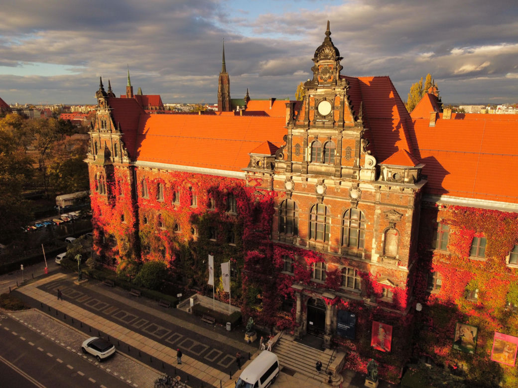 Te widoki zapierają dech w piersiach. Piękna jesień we Wrocławiu   