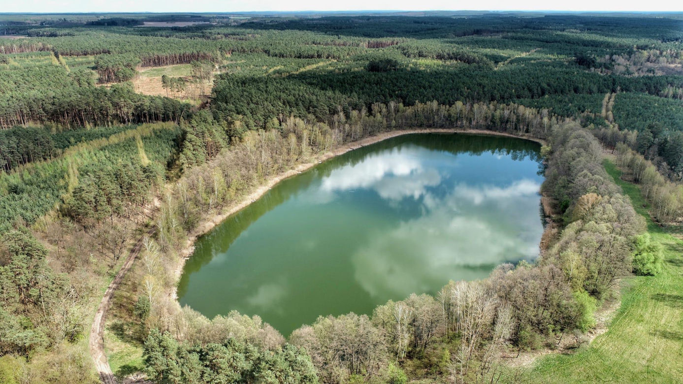 Jezioro Kosobudzkie niedaleko Świebodzina