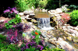  Kamienie w ogrodzie – sposób na piękny ogród bez wydawania fortuny!