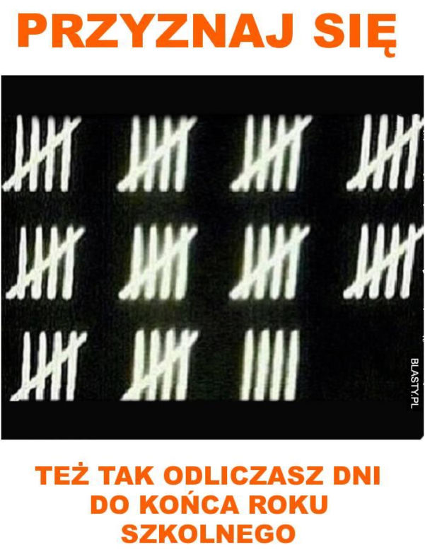 Trwa odliczanie do końca roku szkolnego