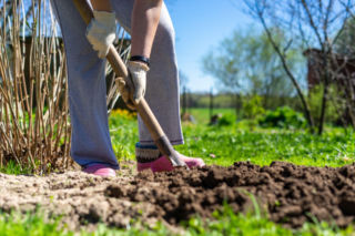 Kalendarz ogrodnika na marzec - te prace trzeba zrobić!