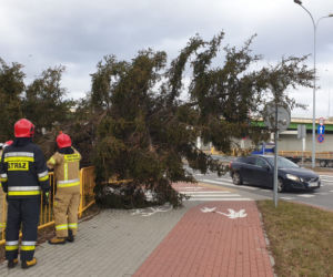 Orkan Eunice narobił szkód w Świętokrzyskiem