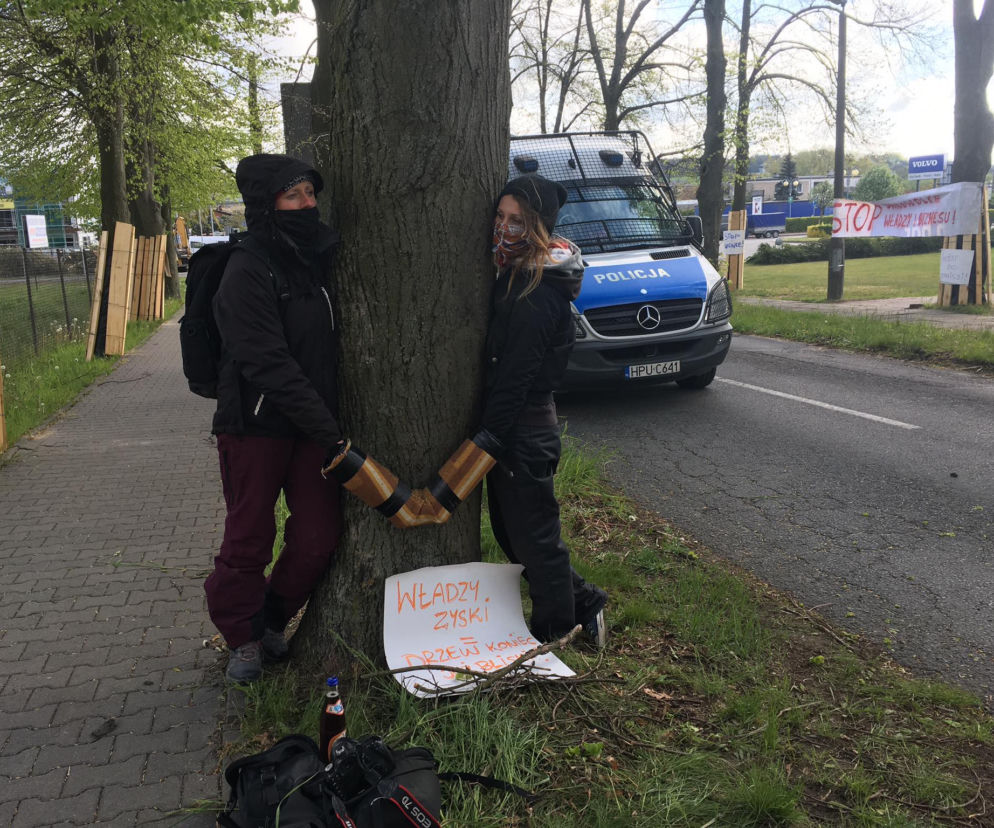 Ekolodzy przykuli się do drzew