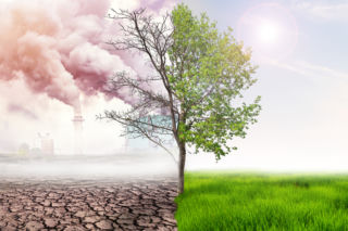 QUIZ o zmianach klimatu. Sprawdź swoją wiedzę!
