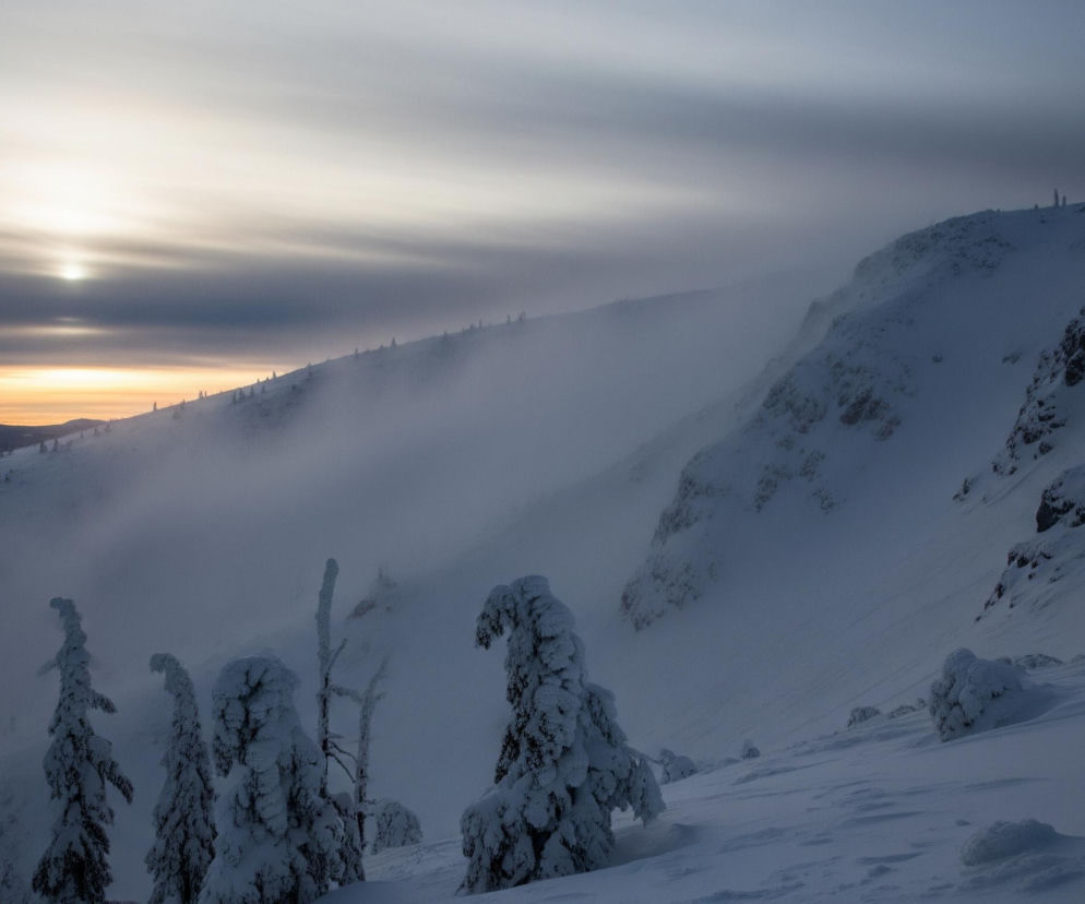 Na zdjęciu rozpościera się zimowy krajobraz górski, z ośnieżonymi zboczami i mgłą osadzającą się w dolinach. W lewej części obrazu, na horyzoncie, widoczne jest słońce, które przebija się przez warstwę chmur, tworząc jasne, złociste pasmo na niebie, przechodzące w szarość. Blisko kadru, po lewej stronie, rośnie grupa gęsto ośnieżonych drzew iglastych o nieregularnych kształtach. Prawą stronę dominuje strome, skaliste zbocze, również pokryte grubą warstwą śniegu, z widocznymi gdzieniegdzie ciemnymi formacjami skalnymi.