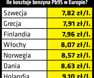 Ile benzyny możemy kupić za polską pensję?