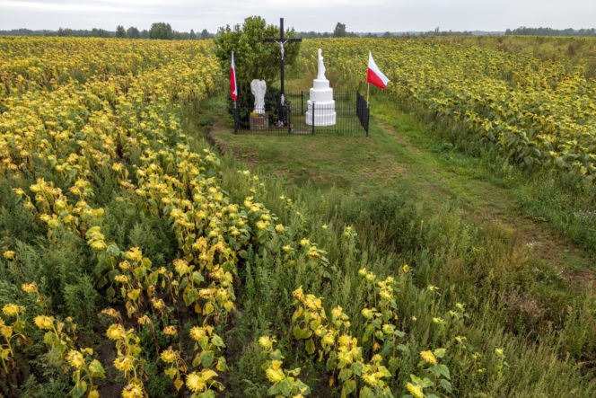 Pogrzeb ofiar zbrodni wołyńskiej w Ostrówkach