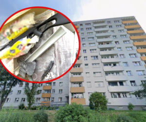 Strzelał do gołębi, a policjantom groził maczetą