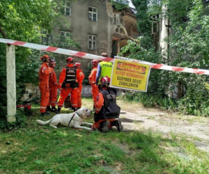 Zawaliła się część kamienicy w centrum Będzina. Na miejsce wysłano psy ratownicze!