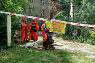 Zawalona kamienica w centrum Będzina. W gruzowisko weszły psy tropiące!