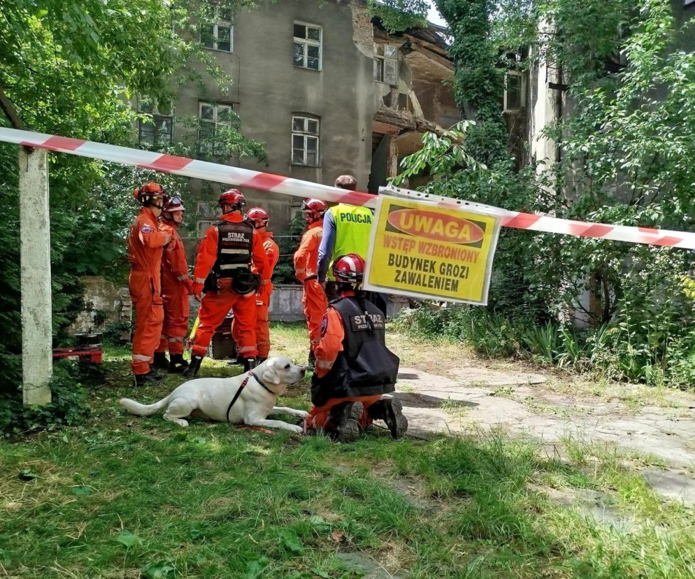 Zawaliła się część kamienicy w centrum Będzina. Na miejsce wysłano psy ratownicze!