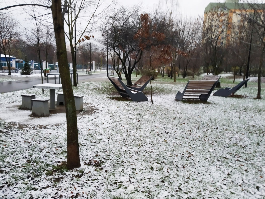 Pierwszy śnieg w Radomiu! Zobacz, jak rano wyglądało miasto