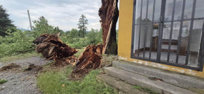 Krajobraz jak po apokalipsie. Wichura zniszczyła gminę Mysłakowice w kilkanaście minut