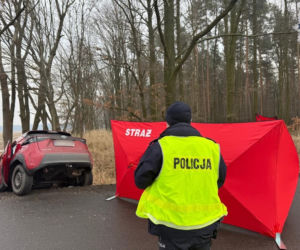 Zjechał z drogi i uderzył w drzewo. Tragiczny finał podróży 68-latka