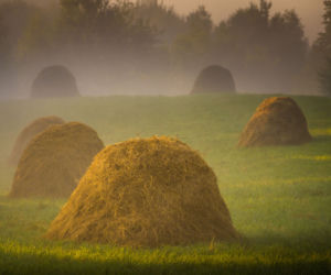 Baśniowy klimat o poranku na Podkarpaciu