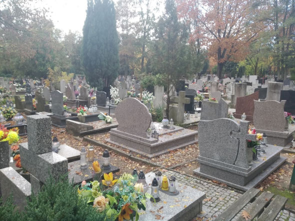 Jak odnaleźć grób na gorzowskich cmentarzach? Pomoże aplikacja