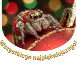 Boże Narodzenie 2025: Najpiękniejsze życzenia na Wigilię 2025. Pobierz za darmo i wyślij do najbliższych