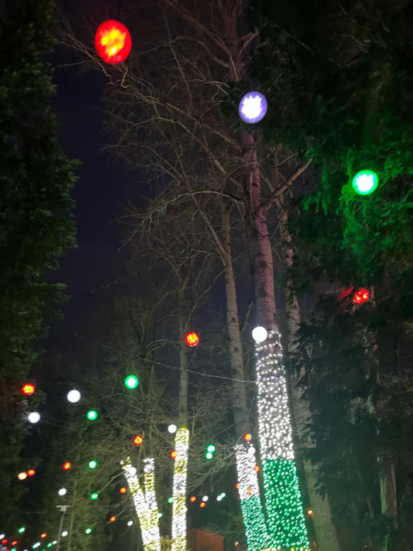 Garden of Lights w Szczecinie