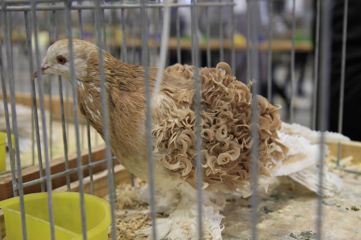 ZooPark 2023 w Lublinie przyciągnął tłumy!