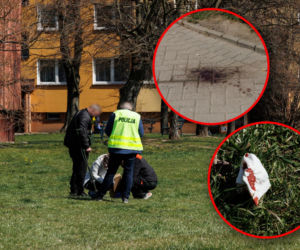 Strzelanina na osiedlu. Nie żyje młody mężczyzna. Policja zatrzymała podejrzanych [AKTUALIZACJA]