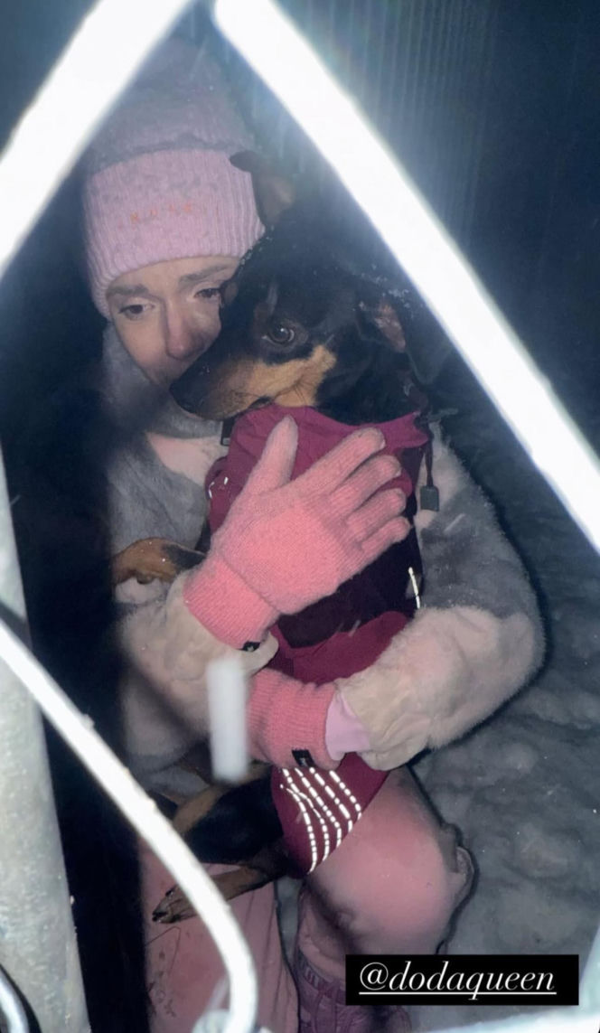 Doda ratuje psy przed mrozem