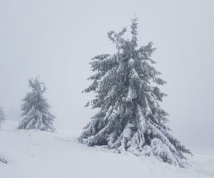 Na Dolnym Śląsku spadł pierwszy śnieg! Zobacz zdjęcia [GALERIA]