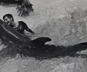 Margaret Lovatt KOBIETA KTORA SYPIAŁA Z DELFINAMI