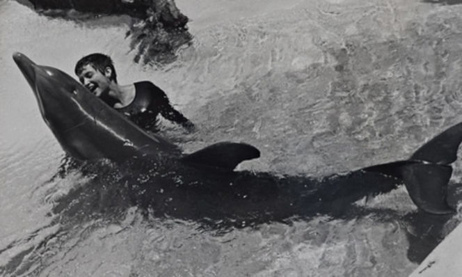Margaret Lovatt KOBIETA KTORA SYPIAŁA Z DELFINAMI