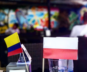 Polskie WAGs kibicują podczas meczu Polska Kolumbia