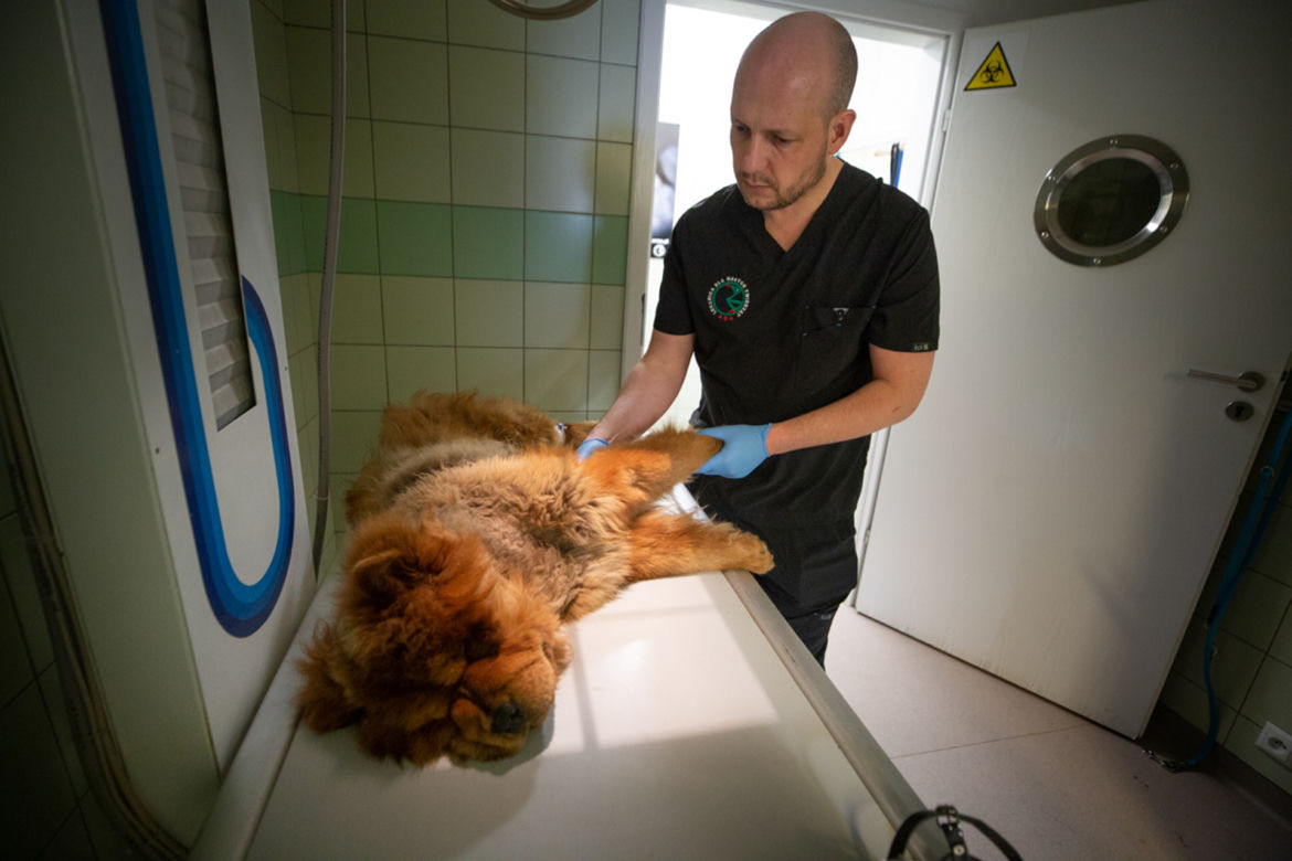 Borys ofiarą pseudohodowli 