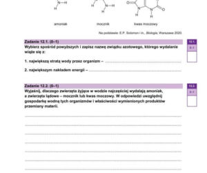 Arkusze matura próbna z biologii 14.01.2026