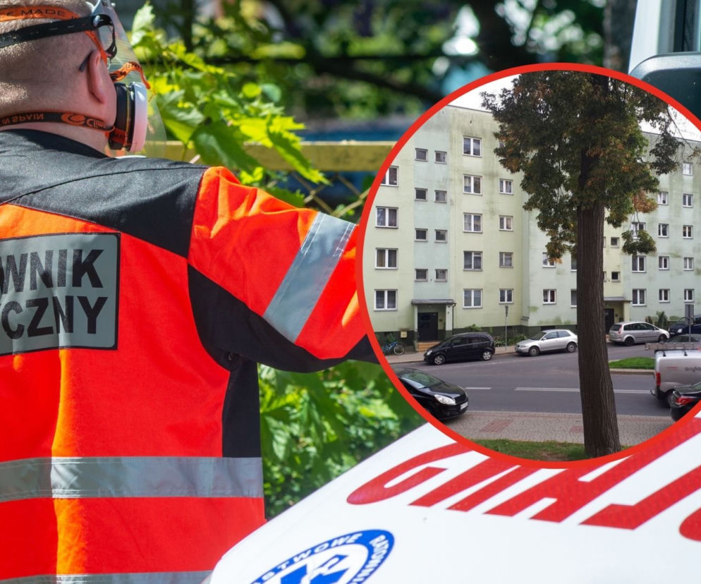 Przemyśl: Pies ZAATAKOWAŁ dziecko! Stan 12-latka jest bardzo poważny! [NOWE FAKTY]
