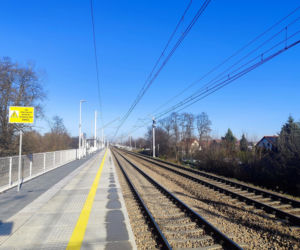 Justyna B. zginęła pod kołami pociągu. Jej grób przykryły białe kwiaty