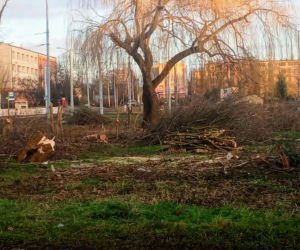Torowa rewolucja: wycinka drzew na pętli Pomorzany i likwidacja działek