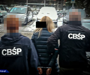 Wielki gang złodziei samochodów rozbity